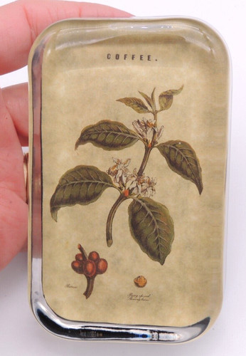 Pianta caffè fermacarte - pianta,