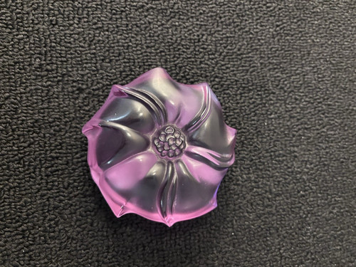 Ferma carta datura stramonium - carta,